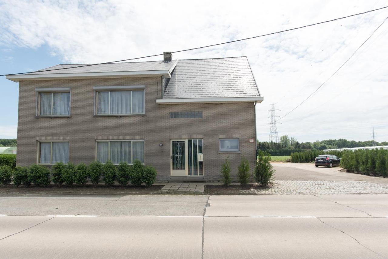Lovely Guesthouse Lier Lint Exterior photo